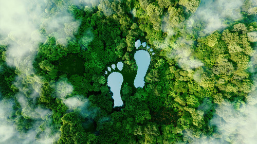 Fussabdrücke in der Natur - Bild für Nachhaltigkeit