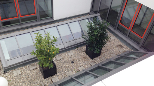 Bekiesung von Terrassen bei Sanierung eines Gewerbeflachdachs