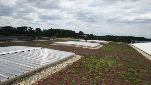 Flachdach mit PV-Anlage und Begrünung.