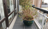 Flüssigkunststoffabdichtung eines Balkons