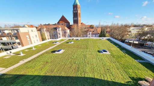 Begrüntes Flachdach mit Lichtkuppeln nach Sanierung