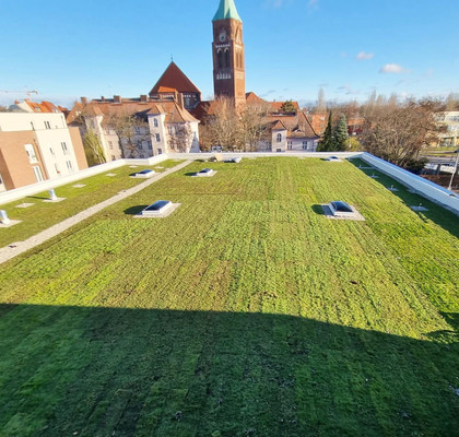 Begrüntes Flachdach mit Lichtkuppeln nach Sanierung