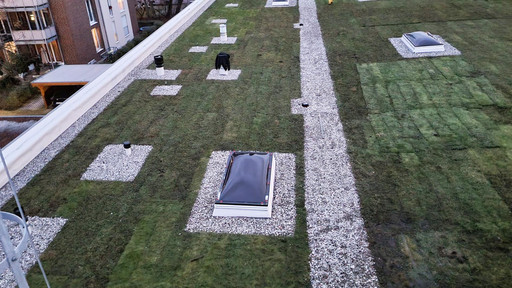 Begrüntes Flachdach mit Lichtkuppeln nach Sanierung
