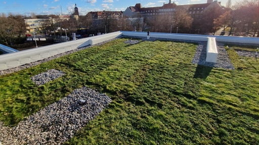 Begrüntes Flachdach mit Lichtkuppeln nach Sanierung