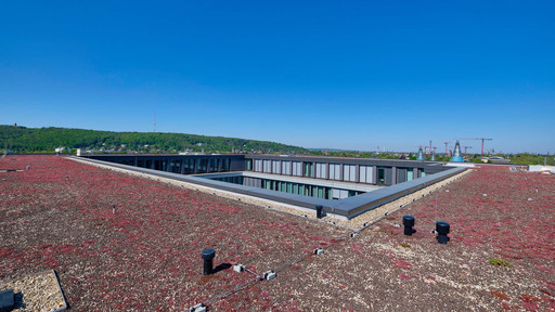 Eine Dacheindichtung mit Dachbegrünung und PV-Anlage.