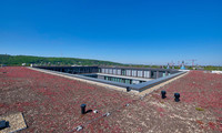 Eine Dacheindichtung mit Dachbegrünung und PV-Anlage.